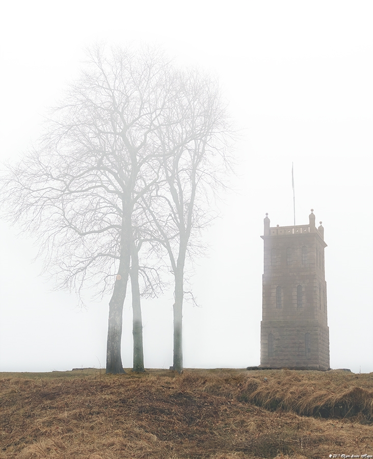 Castle in fog