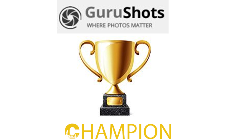 Gurushots champion level