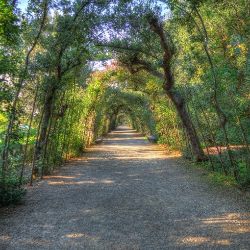 Florence Boboli park