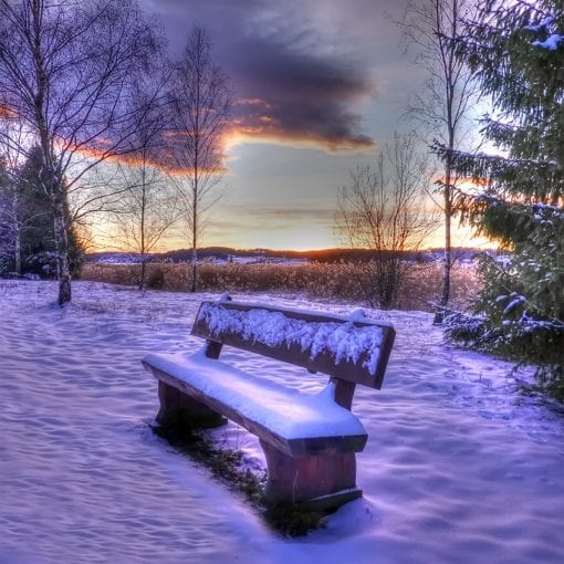 The bench in the snow
