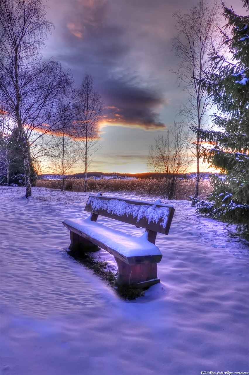 The bench in the snow
