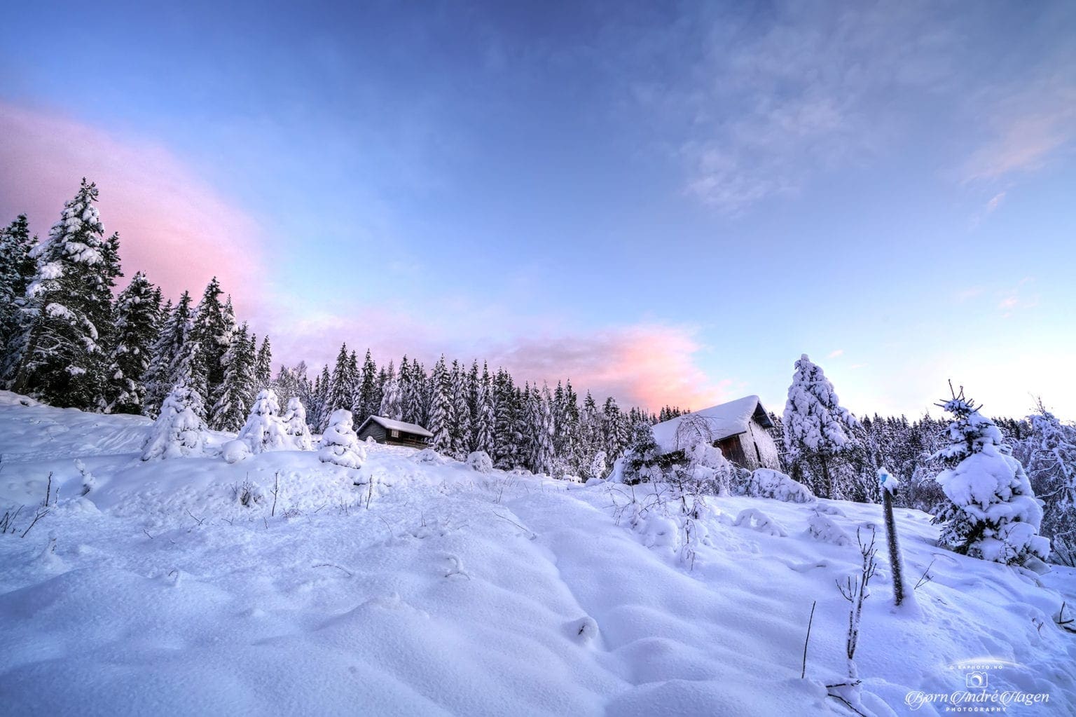 Røsholtsetra pink sky