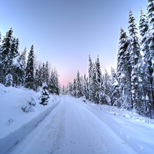 Winter road January 21