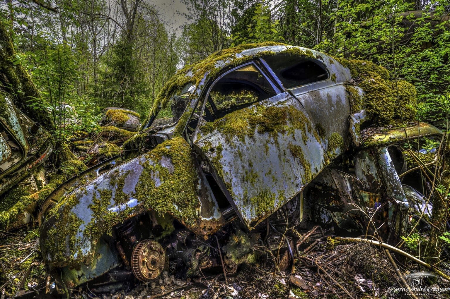 Bastnäs Car Cemetery May 2022 #2