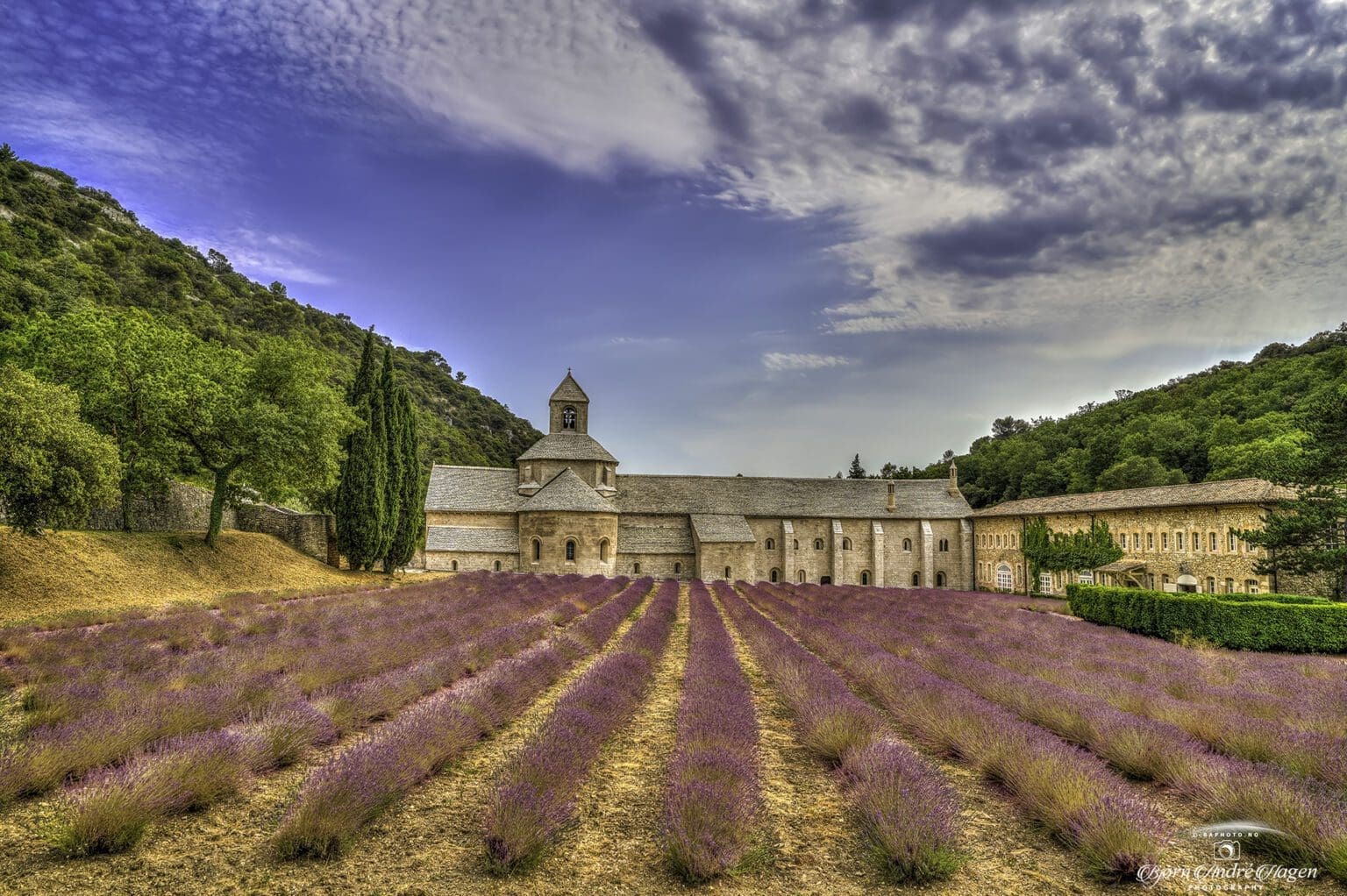 Abbaye Notre-Dame de Sénanque