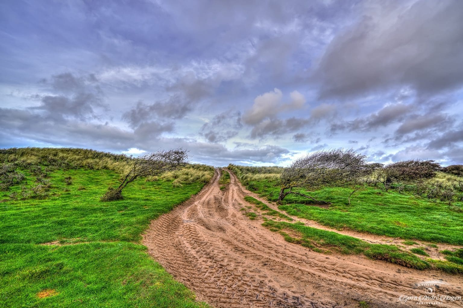 The-windy-beach-road