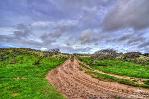 The-windy-beach-road